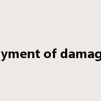 payment of damages是什么意思