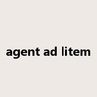 agent ad litem是什么意思