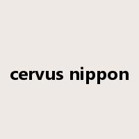cervus nippon是什么意思