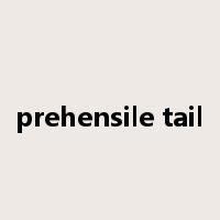 prehensile tail是什么意思