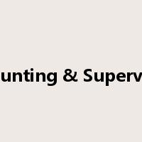 Accounting & Supervising是什么意思