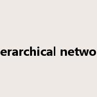 hierarchical network是什么意思