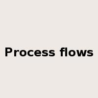 Process flows是什么意思