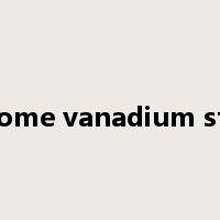 chrome vanadium steel是什么意思