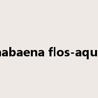 anabaena flos-aquae是什么意思