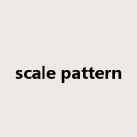 scale pattern是什么意思