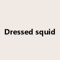 Dressed squid是什么意思