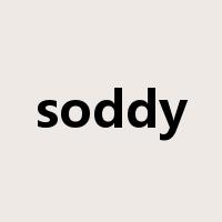 soddy是什么意思