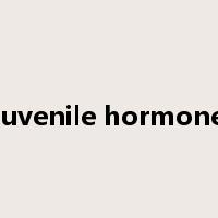 juvenile hormone是什么意思