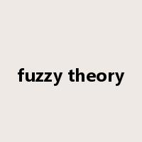 fuzzy theory是什么意思