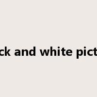 black and white picture是什么意思