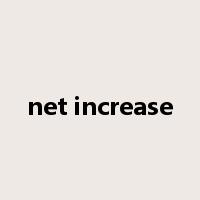 net increase是什么意思