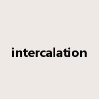 intercalation是什么意思
