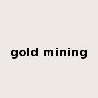 gold mining是什么意思