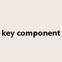 key component是什么意思