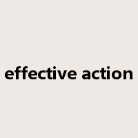 effective action是什么意思