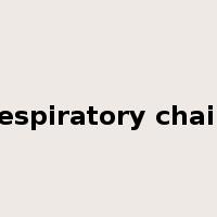 respiratory chain是什么意思