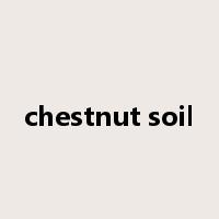 chestnut soil是什么意思