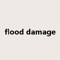 flood damage是什么意思