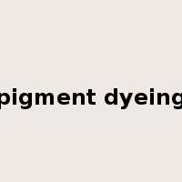 pigment dyeing是什么意思