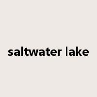 saltwater lake是什么意思