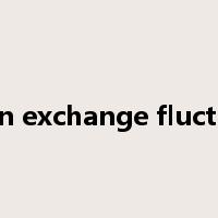 foreign exchange fluctuation是什么意思