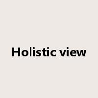 Holistic view是什么意思