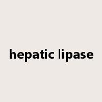 hepatic lipase是什么意思