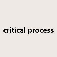 critical process是什么意思