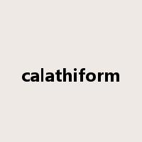 calathiform是什么意思