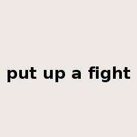 put up a fight是什么意思