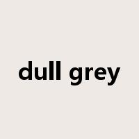 dull grey是什么意思