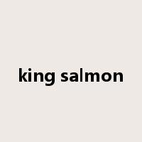 king salmon是什么意思