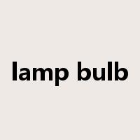 lamp bulb是什么意思