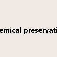 chemical preservative是什么意思
