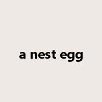 a nest egg是什么意思