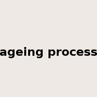 ageing process是什么意思