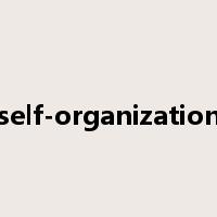 self-organization是什么意思