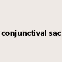 conjunctival sac是什么意思
