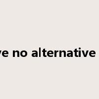 have no alternative but是什么意思