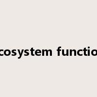ecosystem function是什么意思