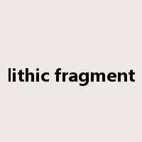lithic fragment是什么意思