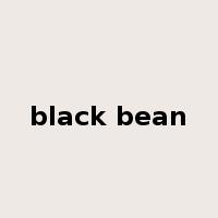 black bean是什么意思