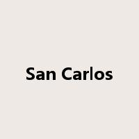 San Carlos是什么意思
