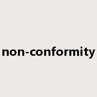 non-conformity是什么意思