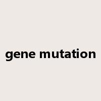 gene mutation是什么意思