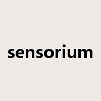 sensorium是什么意思