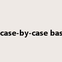 a case-by-case basis是什么意思