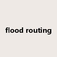 flood routing是什么意思