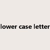 lower case letter是什么意思